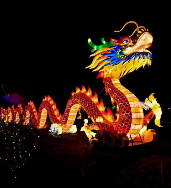 Happy Chinese New Year !