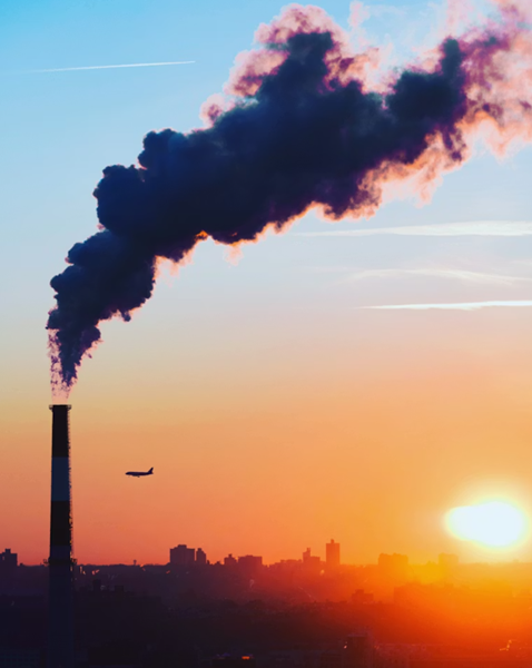 SQL: Plan Cache Pollution - Avoiding it and Fixing it