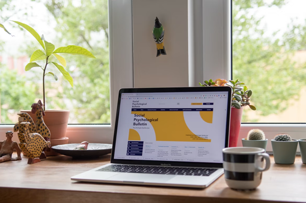 Power-BI: Publishing to web needs a secure design