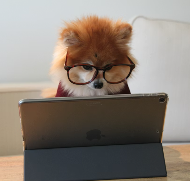 SQL Server Upgrade Advisor should check Database db_compat levels, not server version