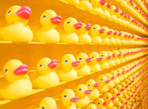 Rubber Ducks by Joshua Coleman