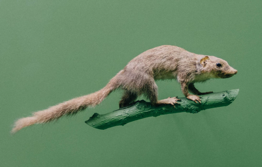 Image by Mikhail Rakityanskiy